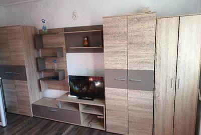 Garsonieră decomandată în Giurgiului - 3