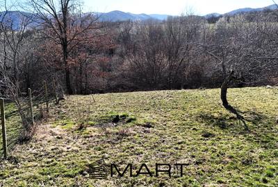 Teren Construcții intravilan de 1000 mp, în Calea Dumbrăvii - 3