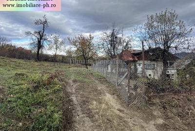 Teren de vanzare - Breaza - 4