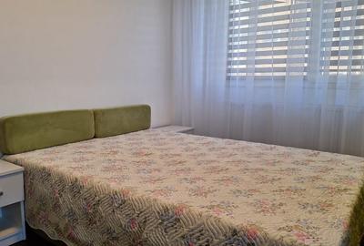 Apartament cu 2 camere decomandat, mobilat în Păcurari - 5