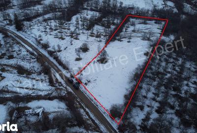 Teren de 4377 mp, în Bradu - 8