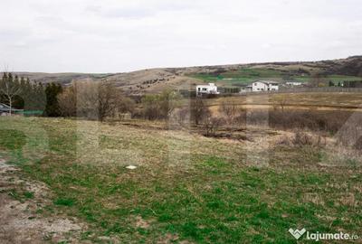 Teren în Borhanci - 12