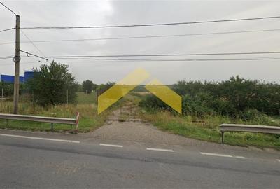 Teren 40,000 mp intravilan de vanzare zona Metro - 4