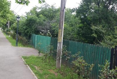 Teren Construcții intravilan de 3231 mp, în Mogoșoaia - 2