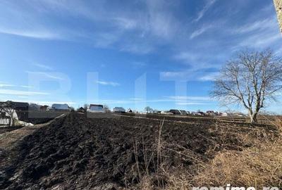 Casa individuala, in Costisa, Fratautii Noi - 9