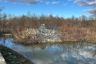 Casă cu 8 camere cu Teren 5000 Mp în Bengești - 18