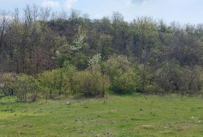 Teren intravilan 3109mp - 5