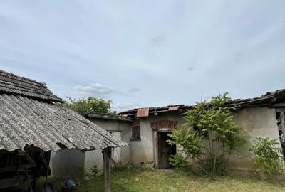 Casa 3 Camere Saniob 30km fa?a de Oradea - 1