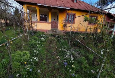 Casă cu 3 camere cu Teren 6100 Mp în Constantinești - 2