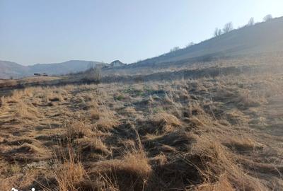 Teren de 3000 mp, în Curtești - 6