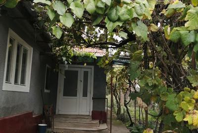 Casă cu 3 camere cu Teren 1600 Mp în Roșia de Secaș - 2