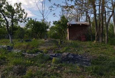 Teren de 2500 mp, în Mihăilești - 5