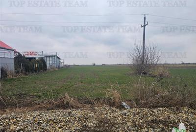 Teren comercial 7169mp la baza nod km35 pe A1 - 1