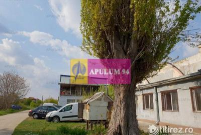 Hala 3600mp zona de Sud a capitalei - 35