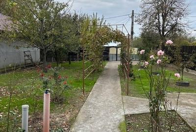 Dridu judetul Ialomita - 9