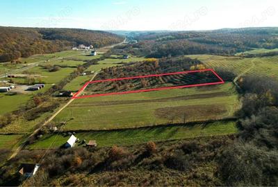 Teren 7744 mp la Coada Noului Lac de Agrement Baile Felix - 5