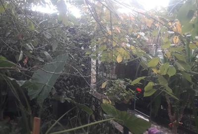Casă cu 3 camere în Lumina - 8