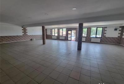 Spațiu comercial, de 300 mp, în Buzescu - 11