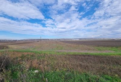 Teren 2 Ha - Gaureni, Miroslava - Zona Mall Moldova - 6