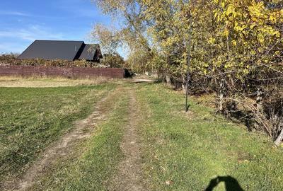 Spațiu comercial, în Călinești - 2