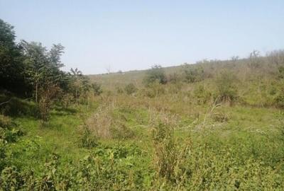 MALCOCI -TEREN INTRAVILAN, 2472 MP, DESCHIDERE 12 ML. - 3