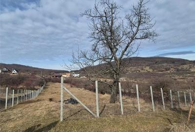 Teren de 3000 mp, în Nord - 5