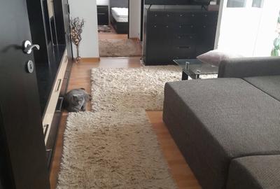 Apartament cu 2 camere decomandat în Caransebeș - 7