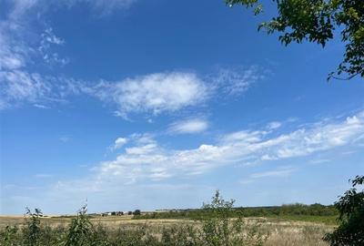 RECO Teren intravilan 3,9 ha -Les - 4