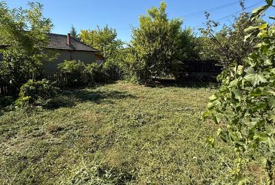 Casă cu 4 camere în Lumina - 5