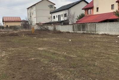 Teren 784mp in Cernica pretabil pt casa - 4