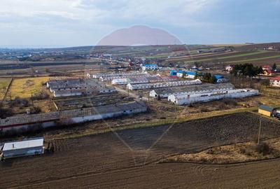 Teren Construcții intravilan de 39600 mp, în Traian - 5