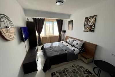 Apartament modern cu 1 camera Visan - 1
