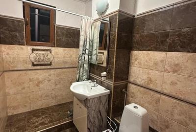 De vanzare apartament 2 camere - Mihai Bravu - 3