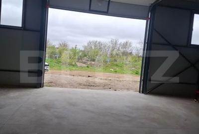 Spațiu comercial, de 420 mp, în Viforâta - 11