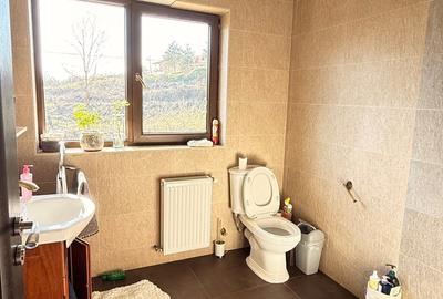 Duplex cu 4 camere cu Canalizare în Griviței - 9