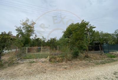 Teren 3000mp intravilan in Mavrodolu, AG - 2