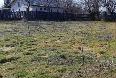 Teren de 2000 mp, în Chiroiu-Pământeni - 4