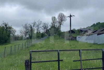 Teren de 1000 mp, în Bezdead - 3