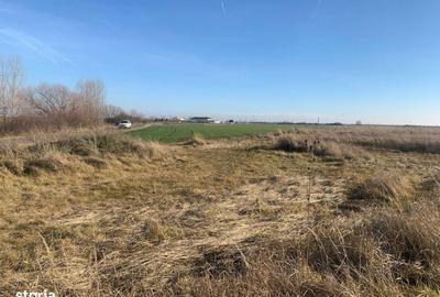 Spațiu comercial, în Săcălaz