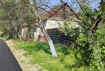 Casa solida cu teren 1081 mp Siria soseaua principala spre Cetate - 11