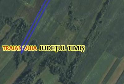 Teren de 23200 mp, în Traian Vuia - 2