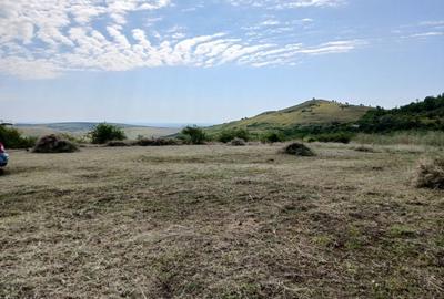 Spațiu comercial, în Tohani - 1