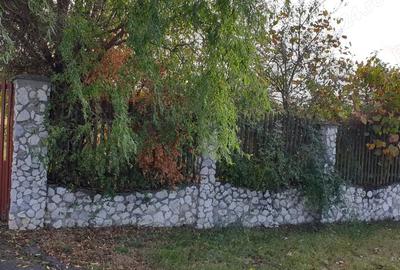 Casa cu teren 5000 m2 domeniu ranch - 12