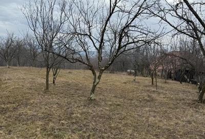 Teren de 4000 mp, în Ștubeiu - 1