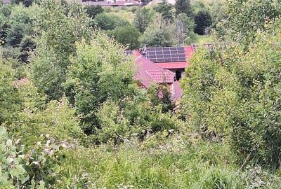 Teren intravilan de 12.147 m² de vânzare în Sovata, pe strada Răchitei - 9