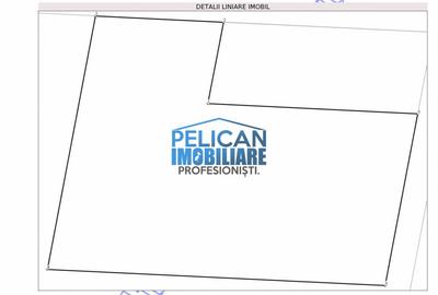 Teren Construcții intravilan de 4000 mp, în Mihail Kogălniceanu - 10