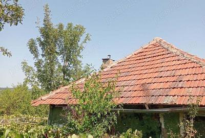 Casa batraneasca Greci 9000E - 1