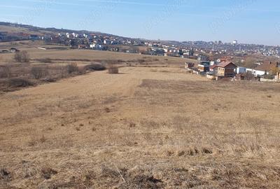 Teren de 5000 mp, în Borhanci - 3