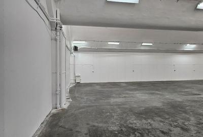 Pantelimon hala productie depozitare - 10