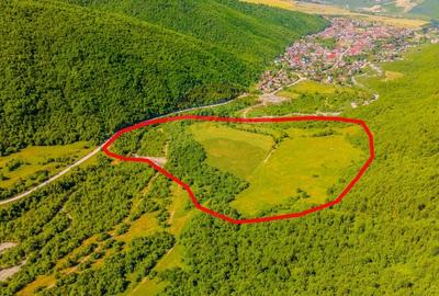 Teren Construcții intravilan de 128000 mp, în Gârcini - 6